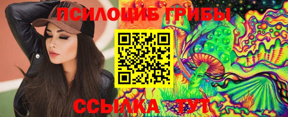Псилоцибиновые грибы Cubensis Элиста