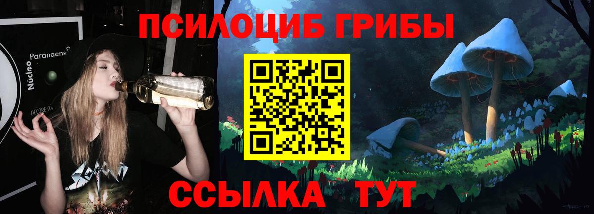 Псилоцибиновые грибы Magic Shrooms  Вход с VPN  Элиста  Псилоцибиновые грибы ЛСД 